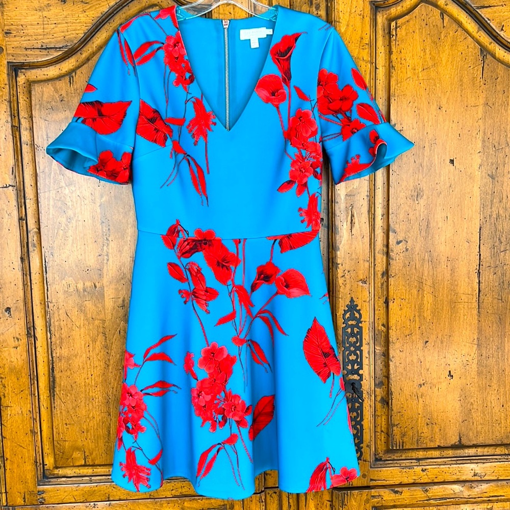 Ted Baker Skater Dress
